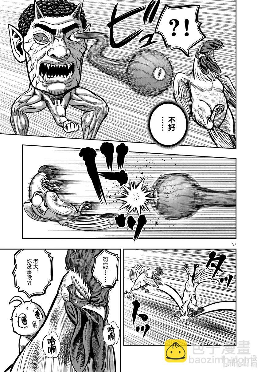 🍴鸡斗士 第22只 牝鸡牡鸣 第37页