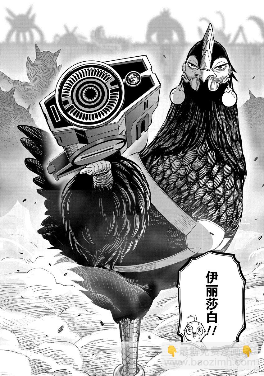 🍴鸡斗士 第22只 牝鸡牡鸣 第40页