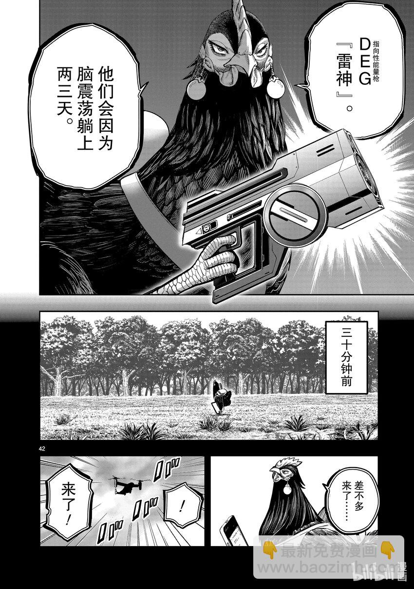🍴鸡斗士 第22只 牝鸡牡鸣 第42页