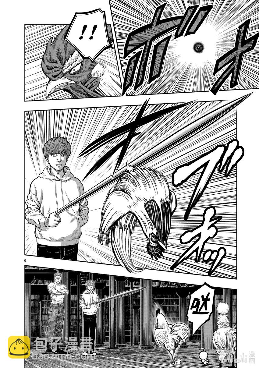 🍴鸡斗士 第22只 牝鸡牡鸣 第6页