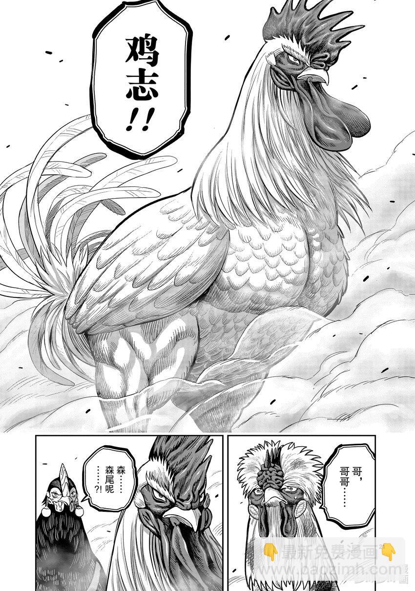 🍴鸡斗士 第24只 鸡尸牛从 第21页