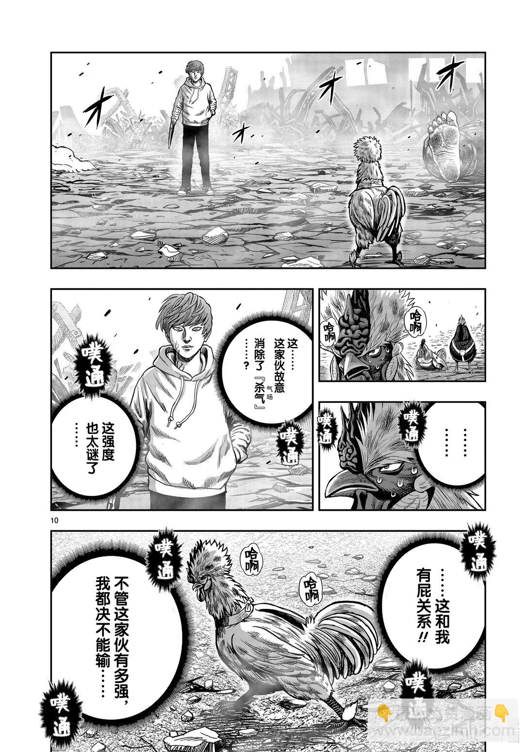 🍴鸡斗士 第26只 陶犬瓦鸡 第10页