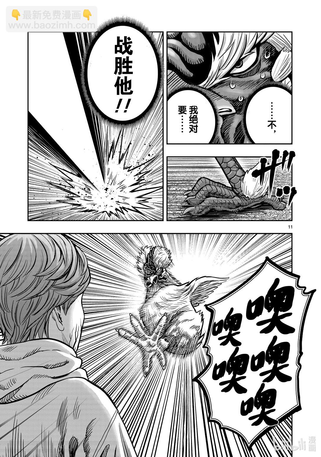 🍴鸡斗士 第26只 陶犬瓦鸡 第11页