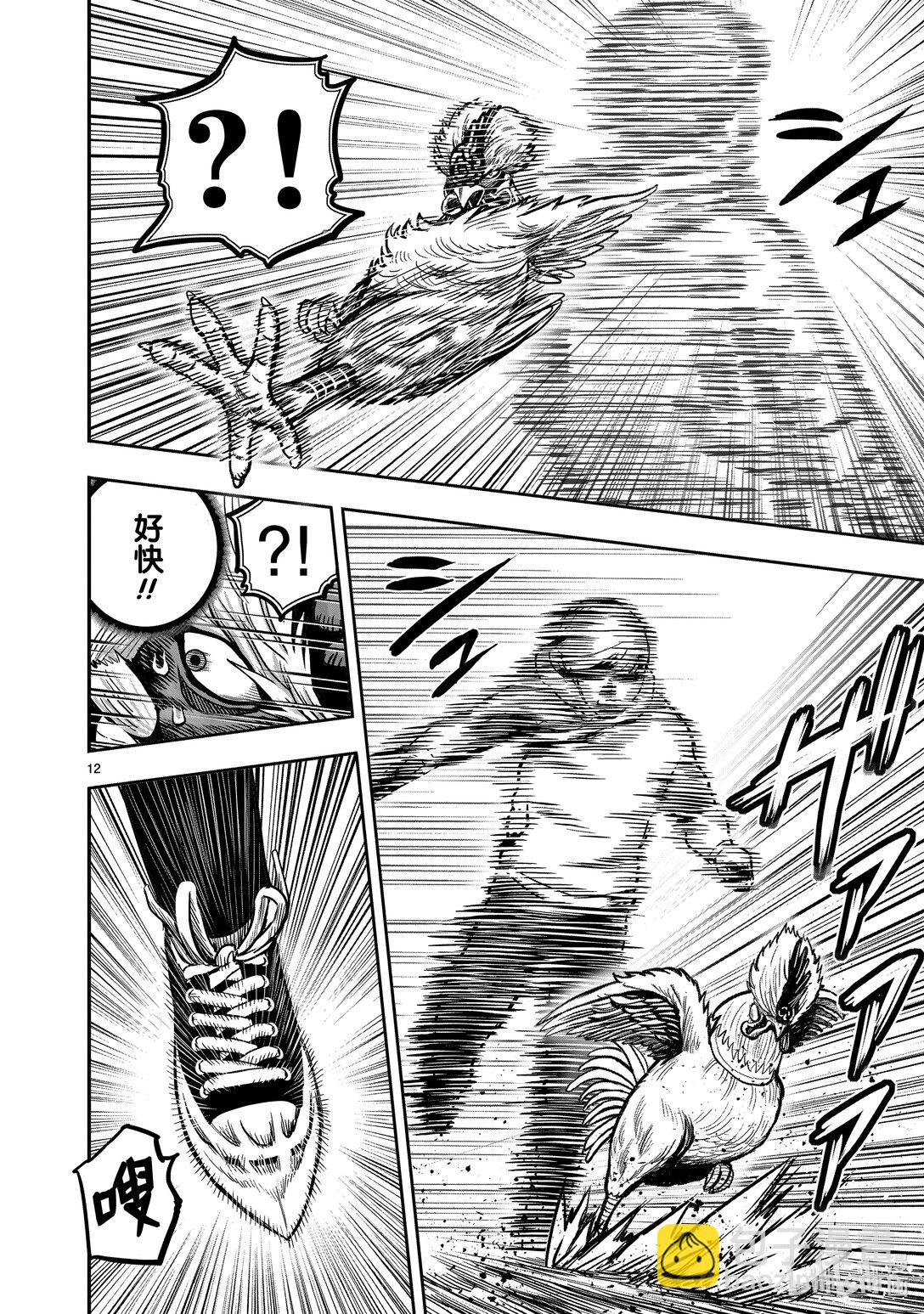 🍴鸡斗士 第26只 陶犬瓦鸡 第12页