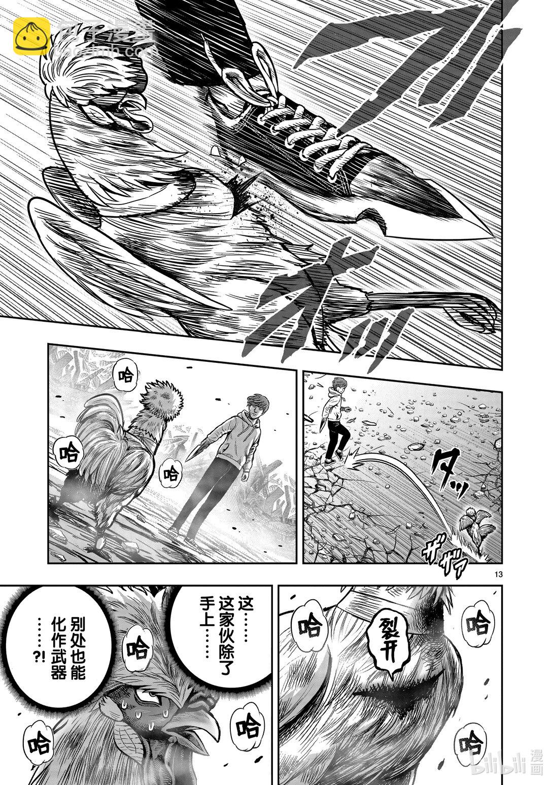 🍴鸡斗士 第26只 陶犬瓦鸡 第13页