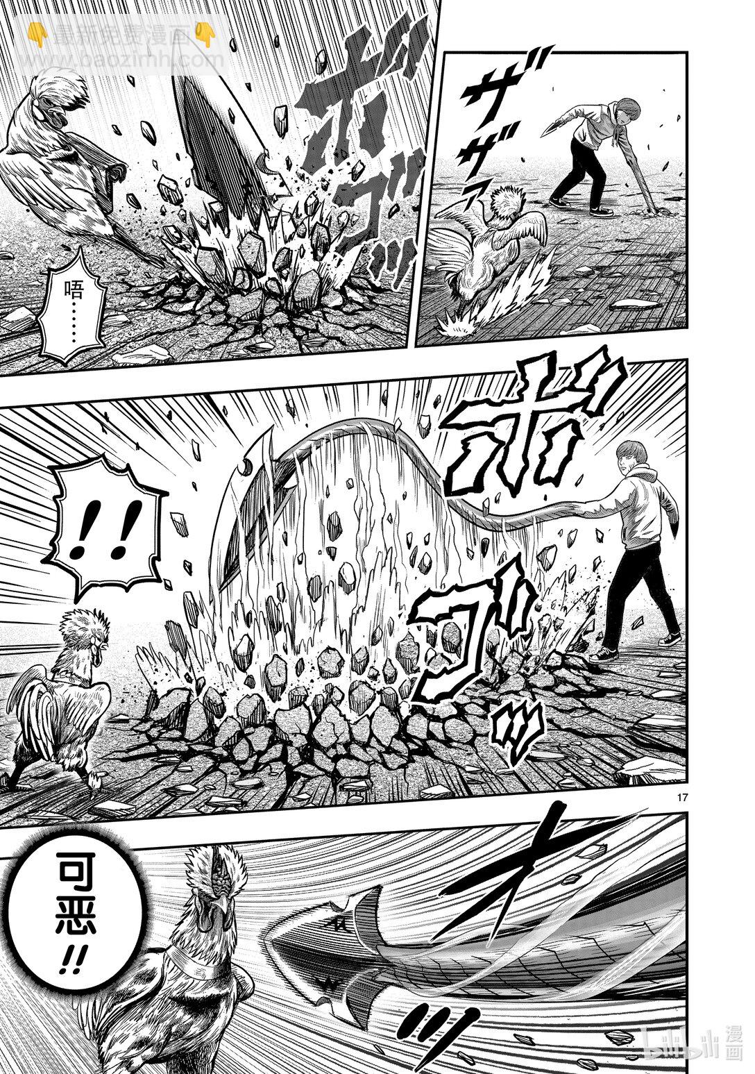 🍴鸡斗士 第26只 陶犬瓦鸡 第17页