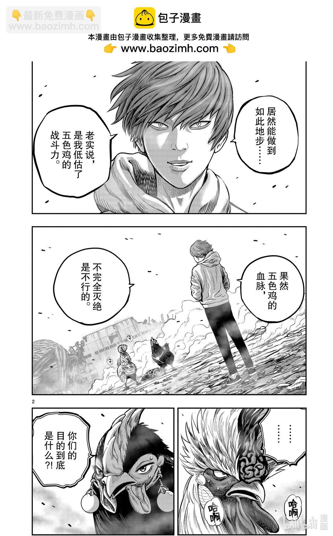 🍴鸡斗士 第26只 陶犬瓦鸡 第2页