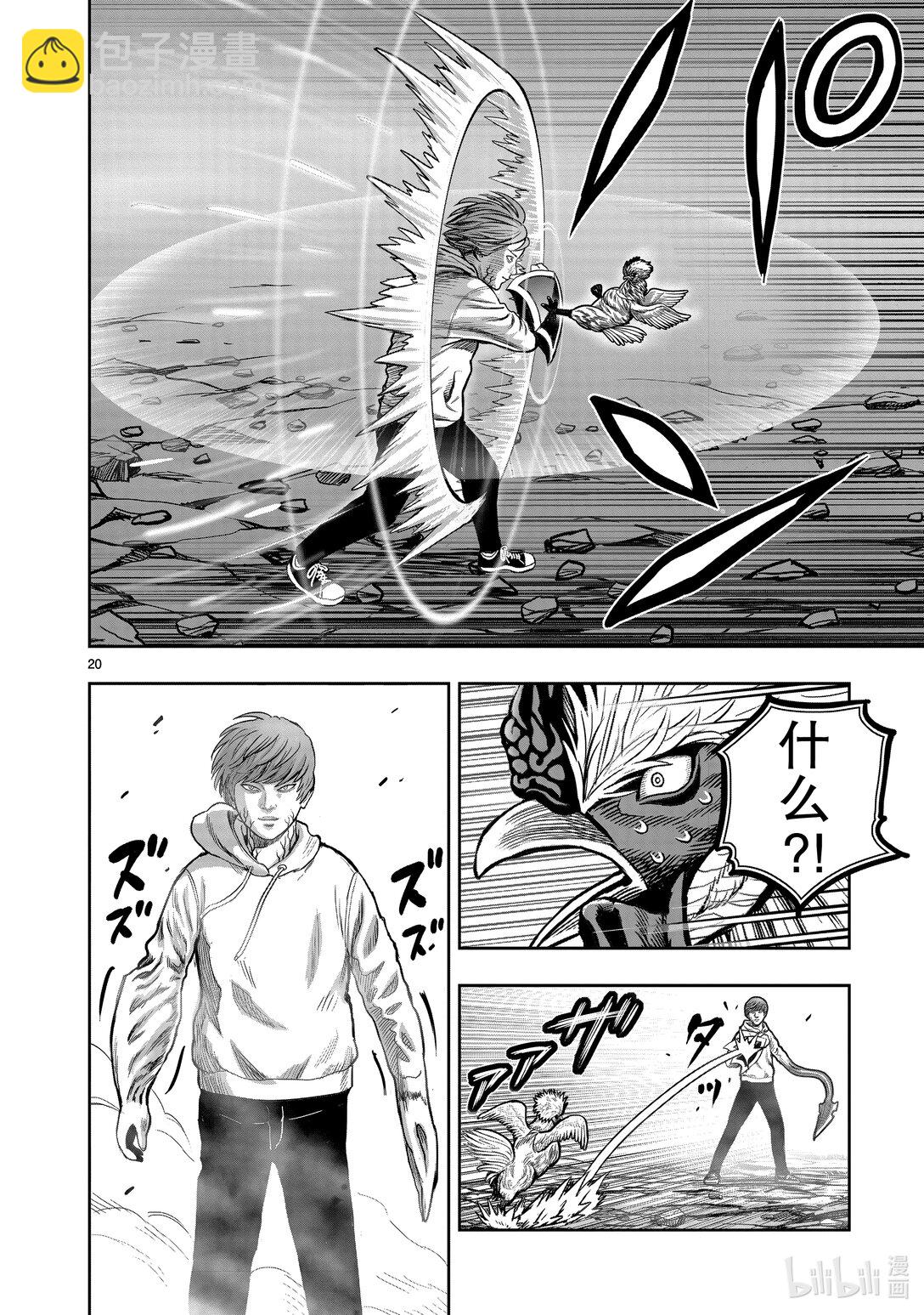 🍴鸡斗士 第26只 陶犬瓦鸡 第20页