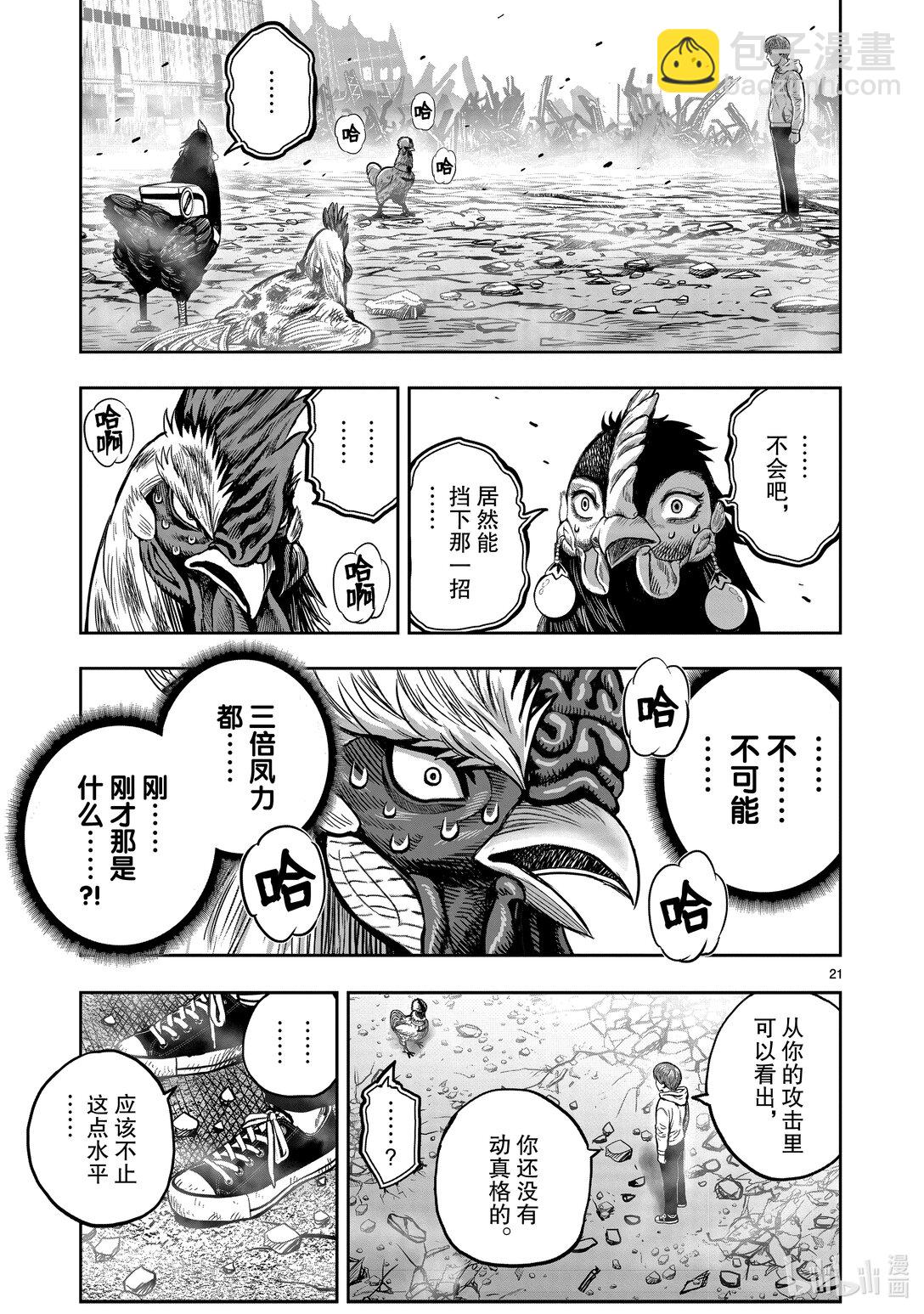 🍴鸡斗士 第26只 陶犬瓦鸡 第21页