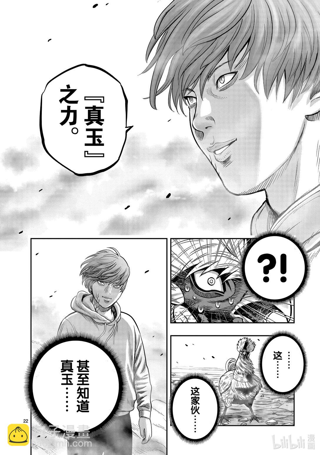 🍴鸡斗士 第26只 陶犬瓦鸡 第22页