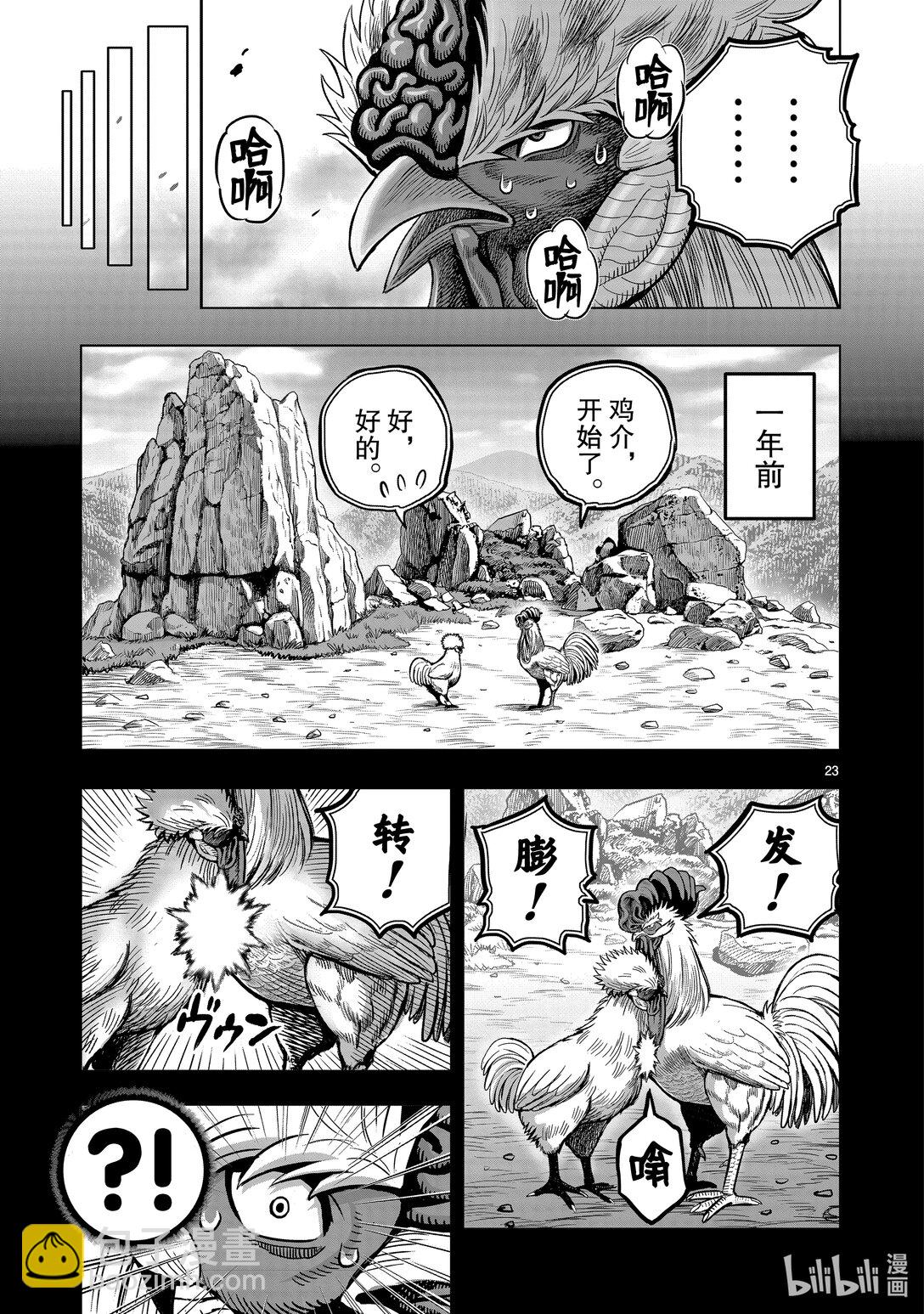 🍴鸡斗士 第26只 陶犬瓦鸡 第23页