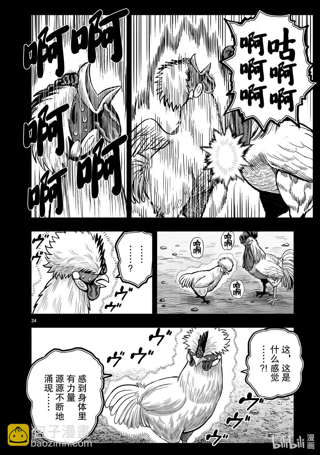 🍴鸡斗士 第26只 陶犬瓦鸡 第24页