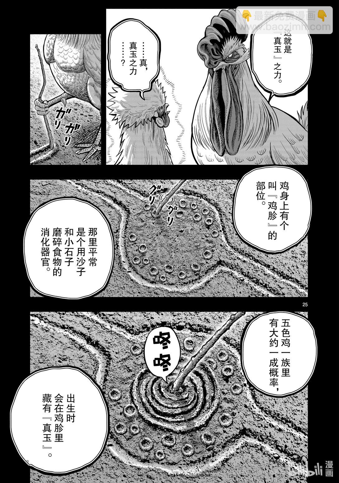 🍴鸡斗士 第26只 陶犬瓦鸡 第25页