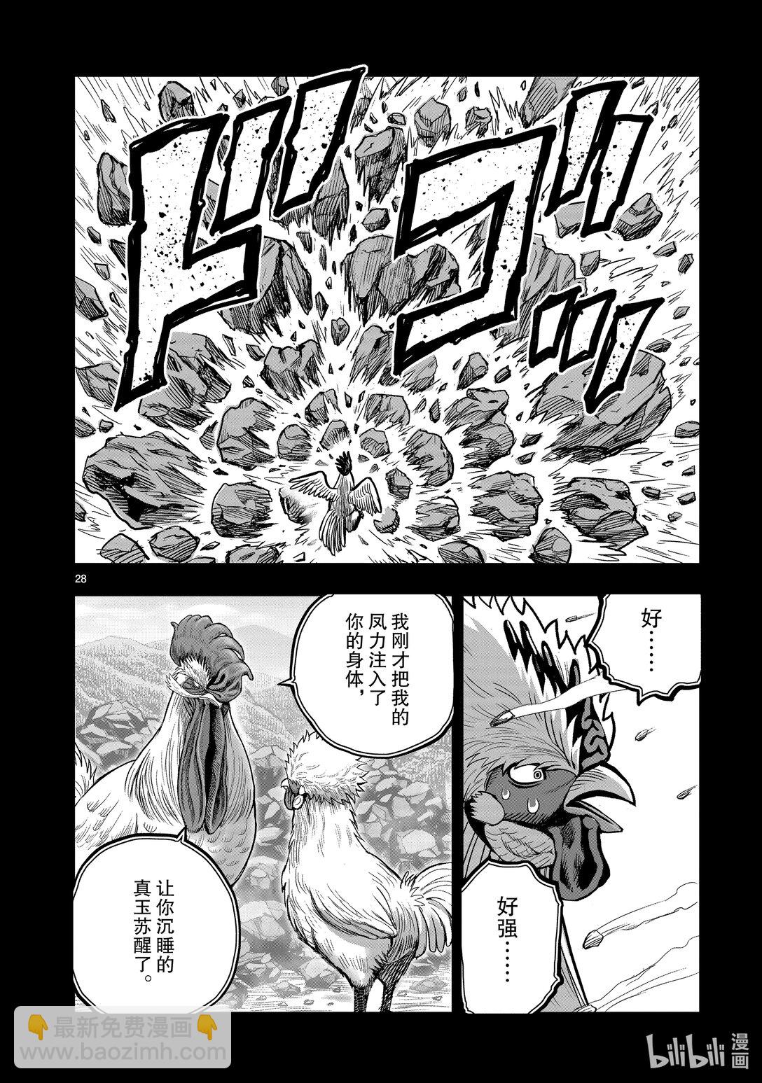 🍴鸡斗士 第26只 陶犬瓦鸡 第28页