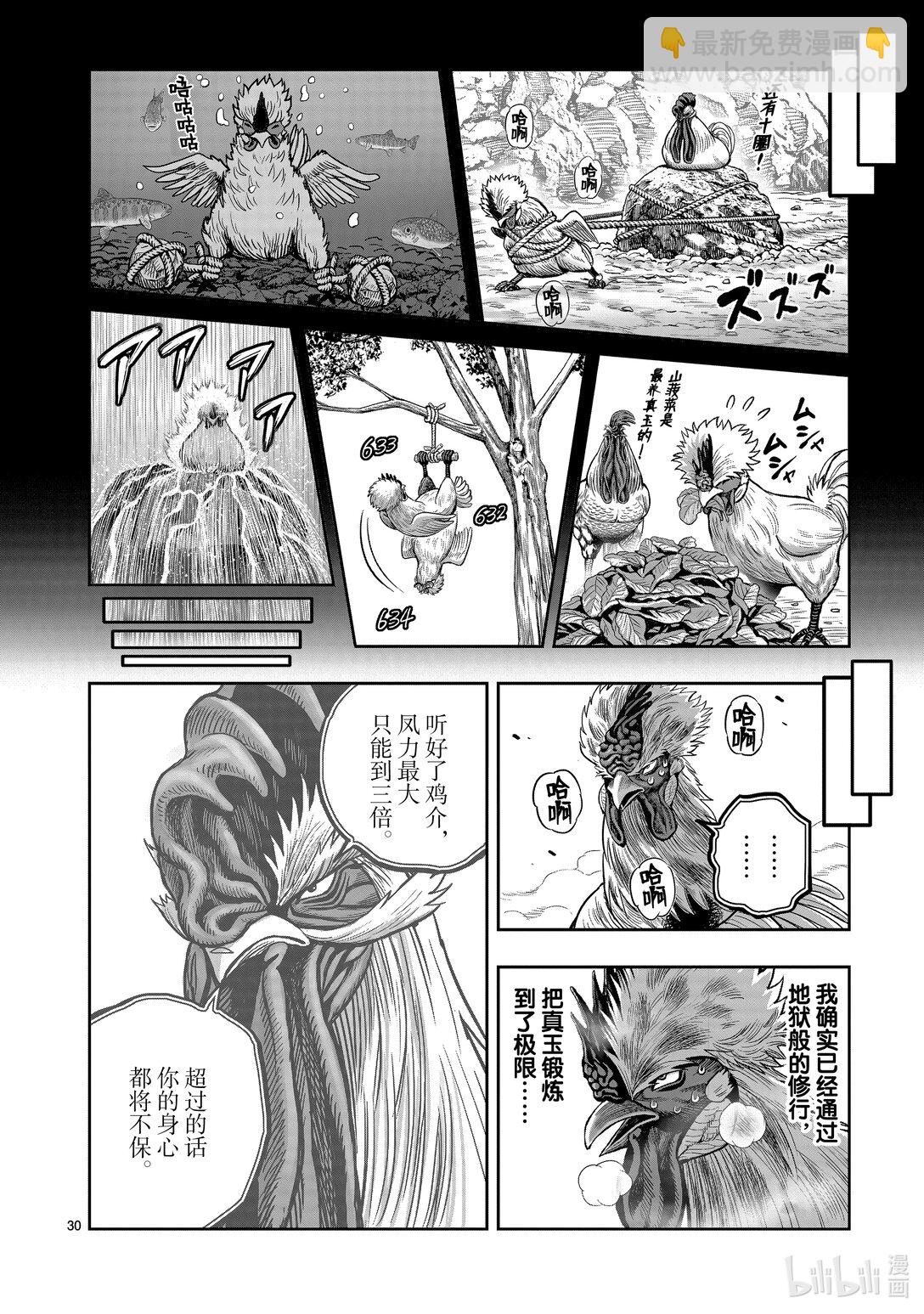 🍴鸡斗士 第26只 陶犬瓦鸡 第30页