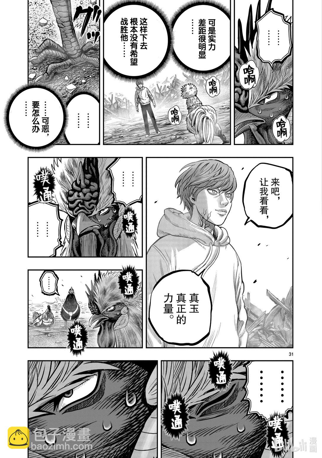🍴鸡斗士 第26只 陶犬瓦鸡 第31页