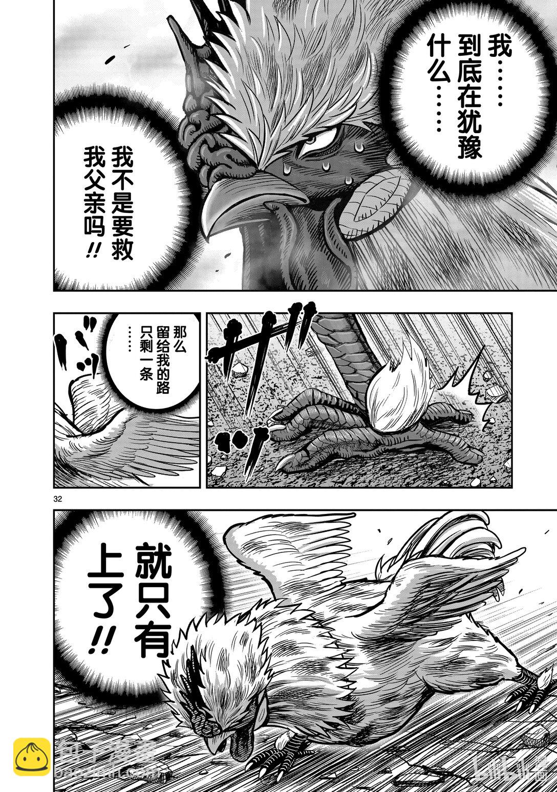 🍴鸡斗士 第26只 陶犬瓦鸡 第32页