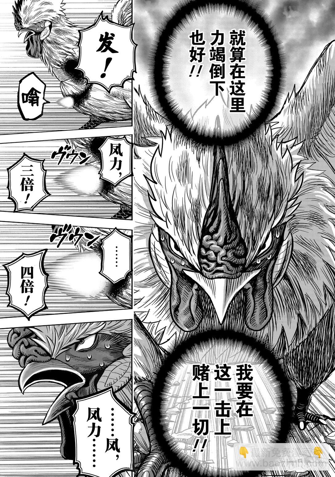 🍴鸡斗士 第26只 陶犬瓦鸡 第33页