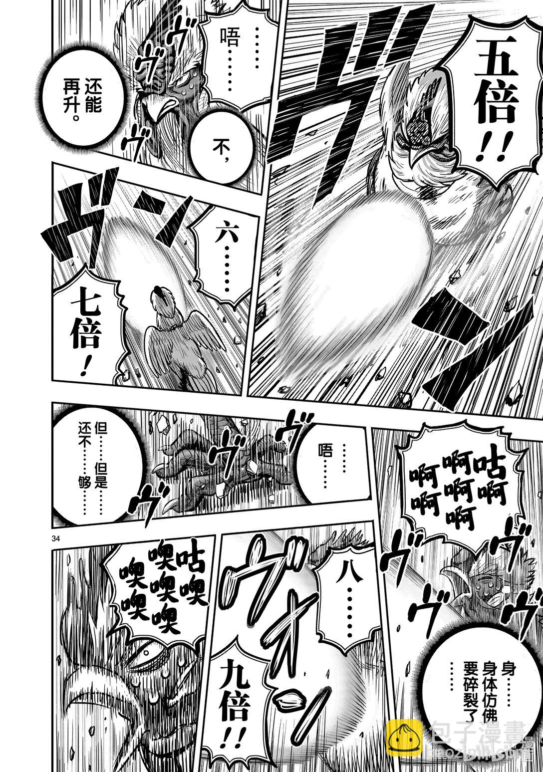 🍴鸡斗士 第26只 陶犬瓦鸡 第34页