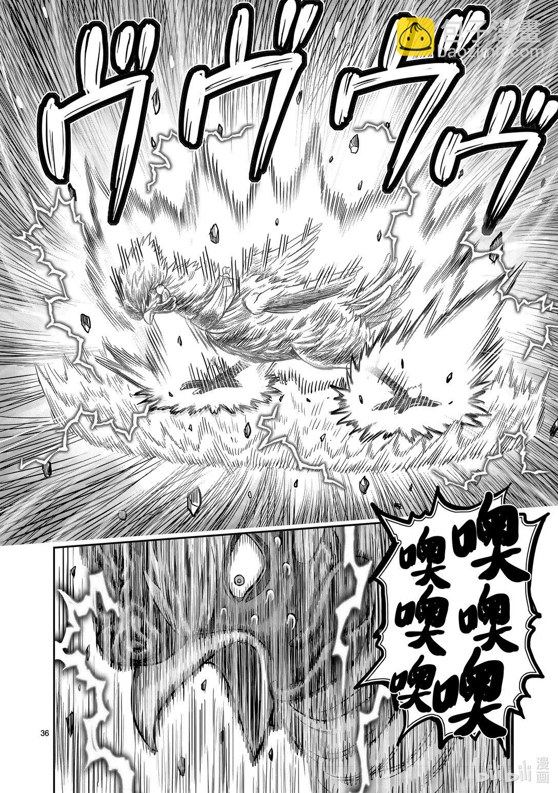🍴鸡斗士 第26只 陶犬瓦鸡 第36页