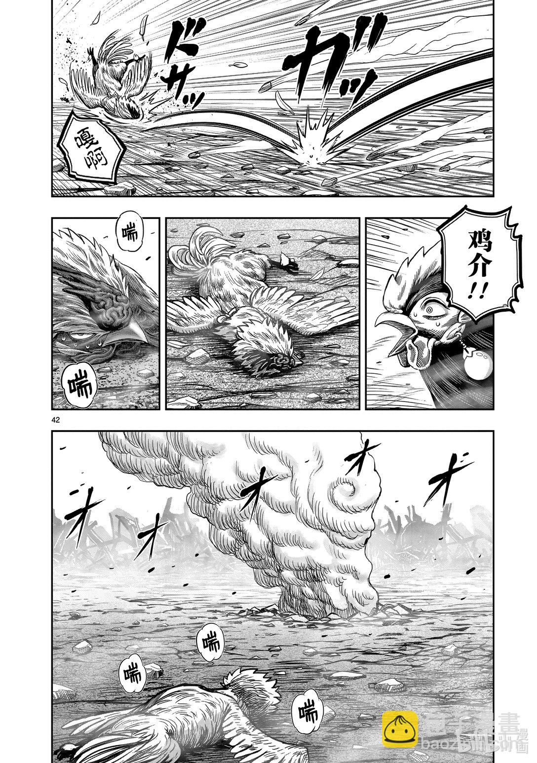 🍴鸡斗士 第26只 陶犬瓦鸡 第42页