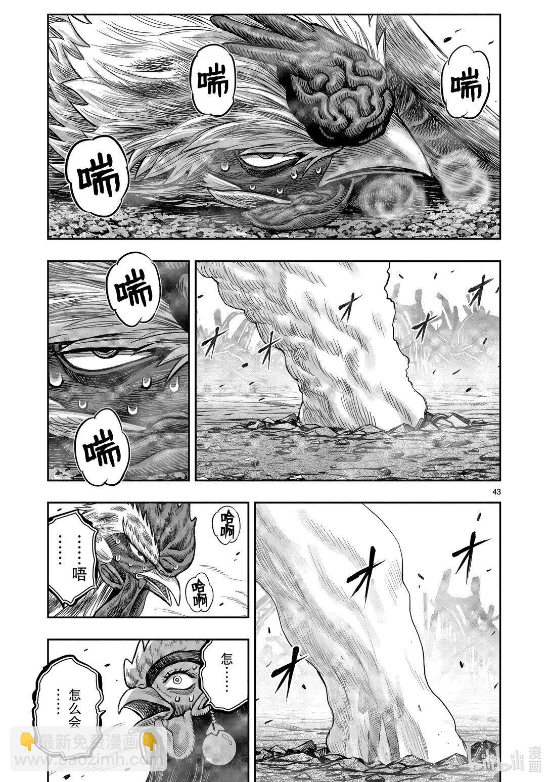 🍴鸡斗士 第26只 陶犬瓦鸡 第43页