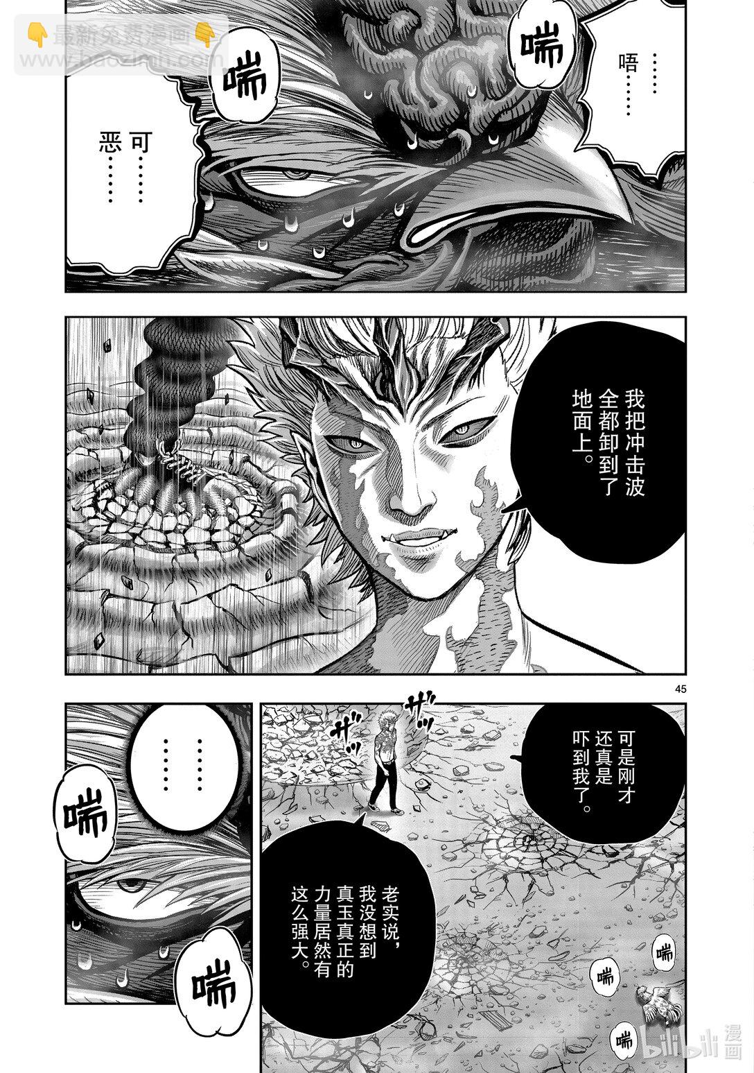 🍴鸡斗士 第26只 陶犬瓦鸡 第45页