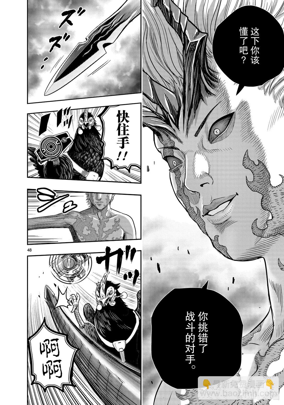🍴鸡斗士 第26只 陶犬瓦鸡 第48页