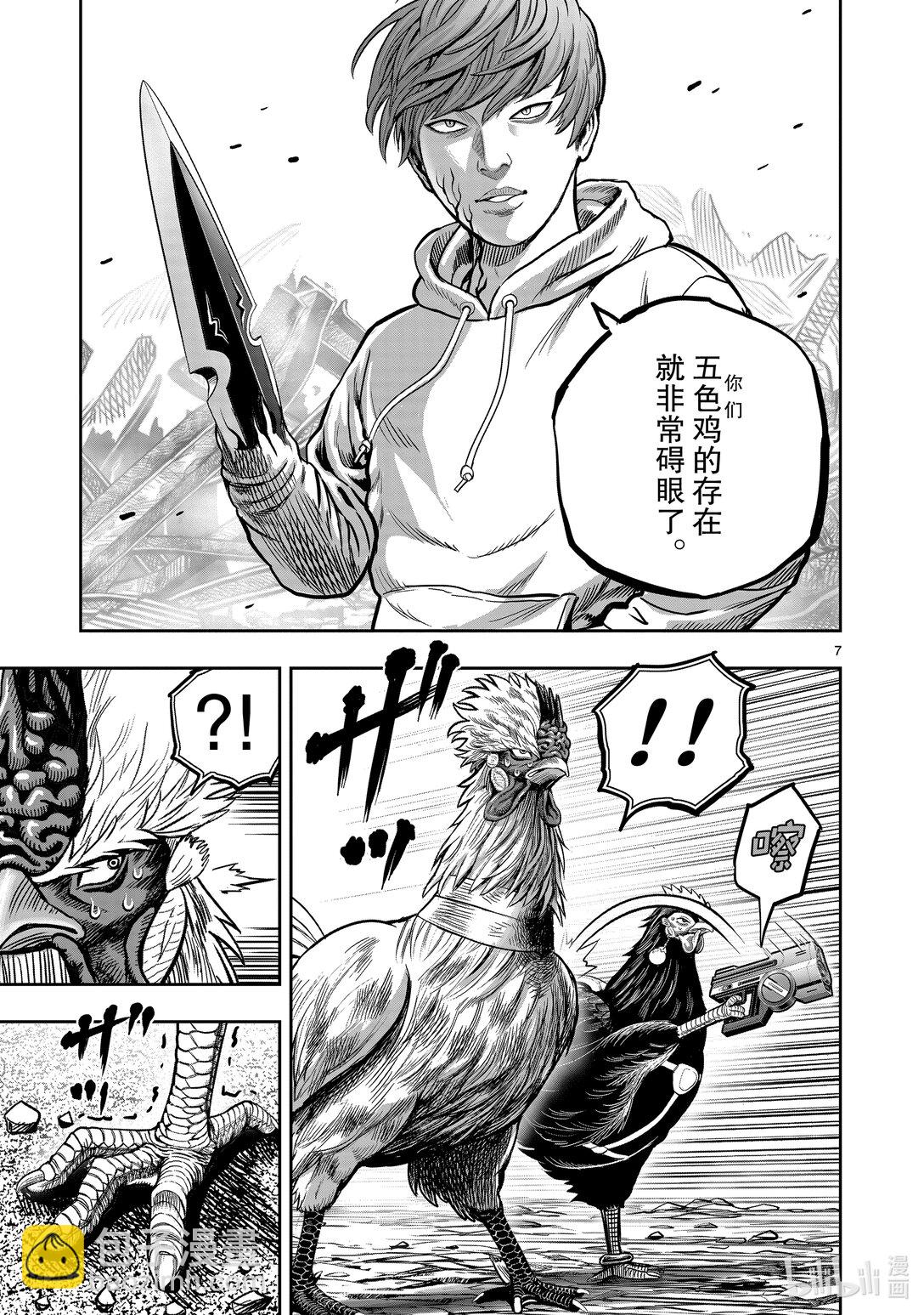 🍴鸡斗士 第26只 陶犬瓦鸡 第7页