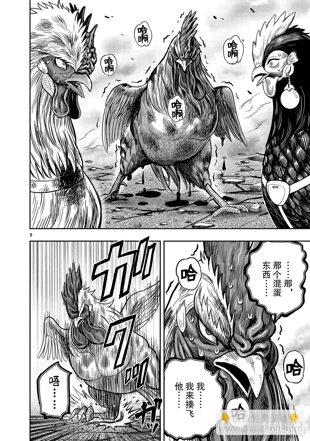 🍴鸡斗士 第26只 陶犬瓦鸡 第8页