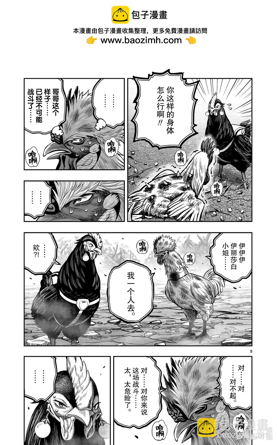 🍴鸡斗士 第26只 陶犬瓦鸡 第9页