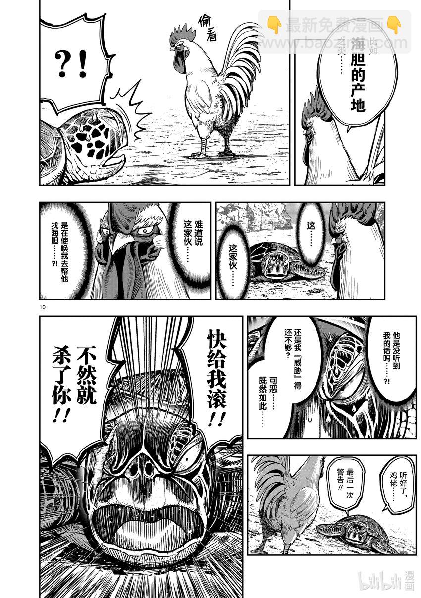 🍴鸡斗士 第4只 穷鸟入怀 第10页