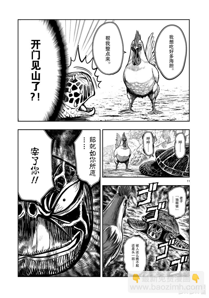 🍴鸡斗士 第4只 穷鸟入怀 第11页