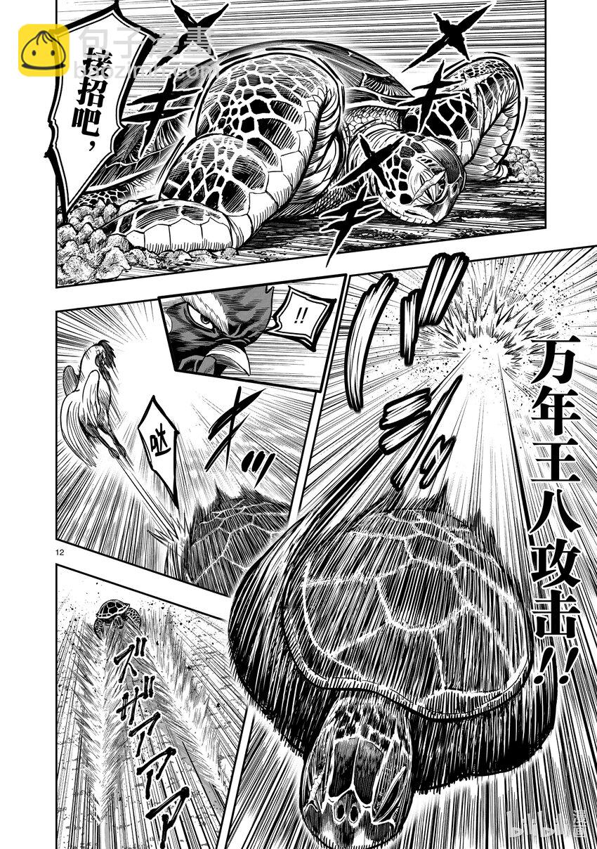 🍴鸡斗士 第4只 穷鸟入怀 第12页