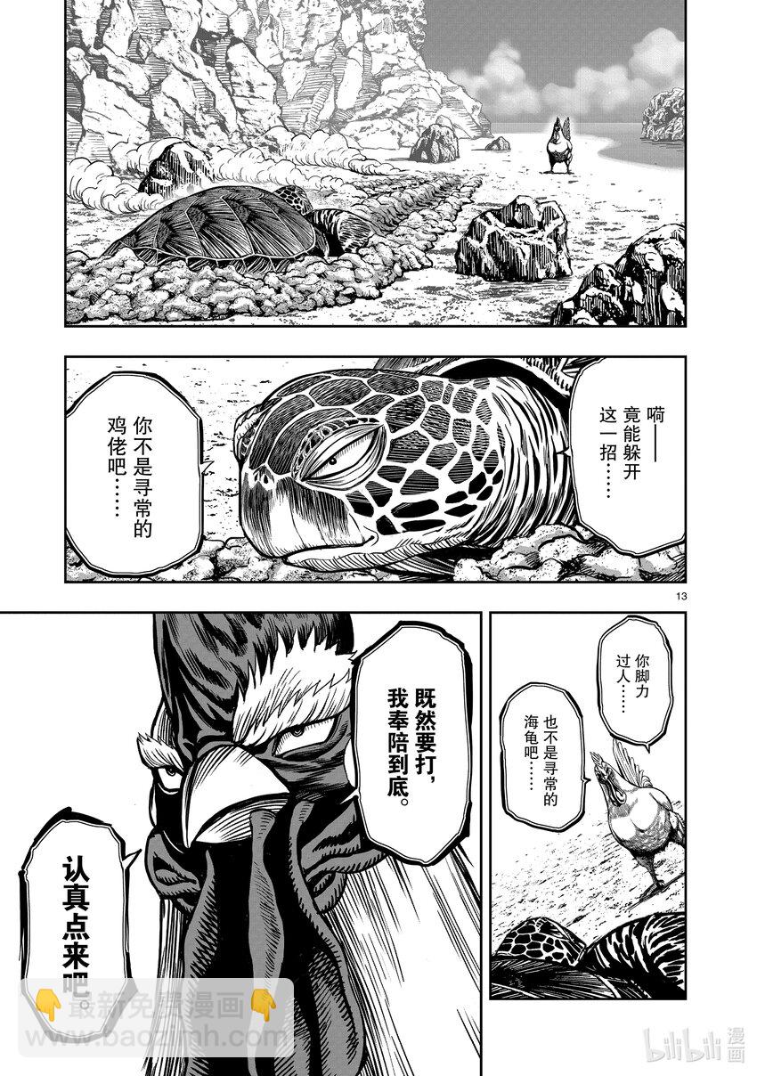 🍴鸡斗士 第4只 穷鸟入怀 第13页