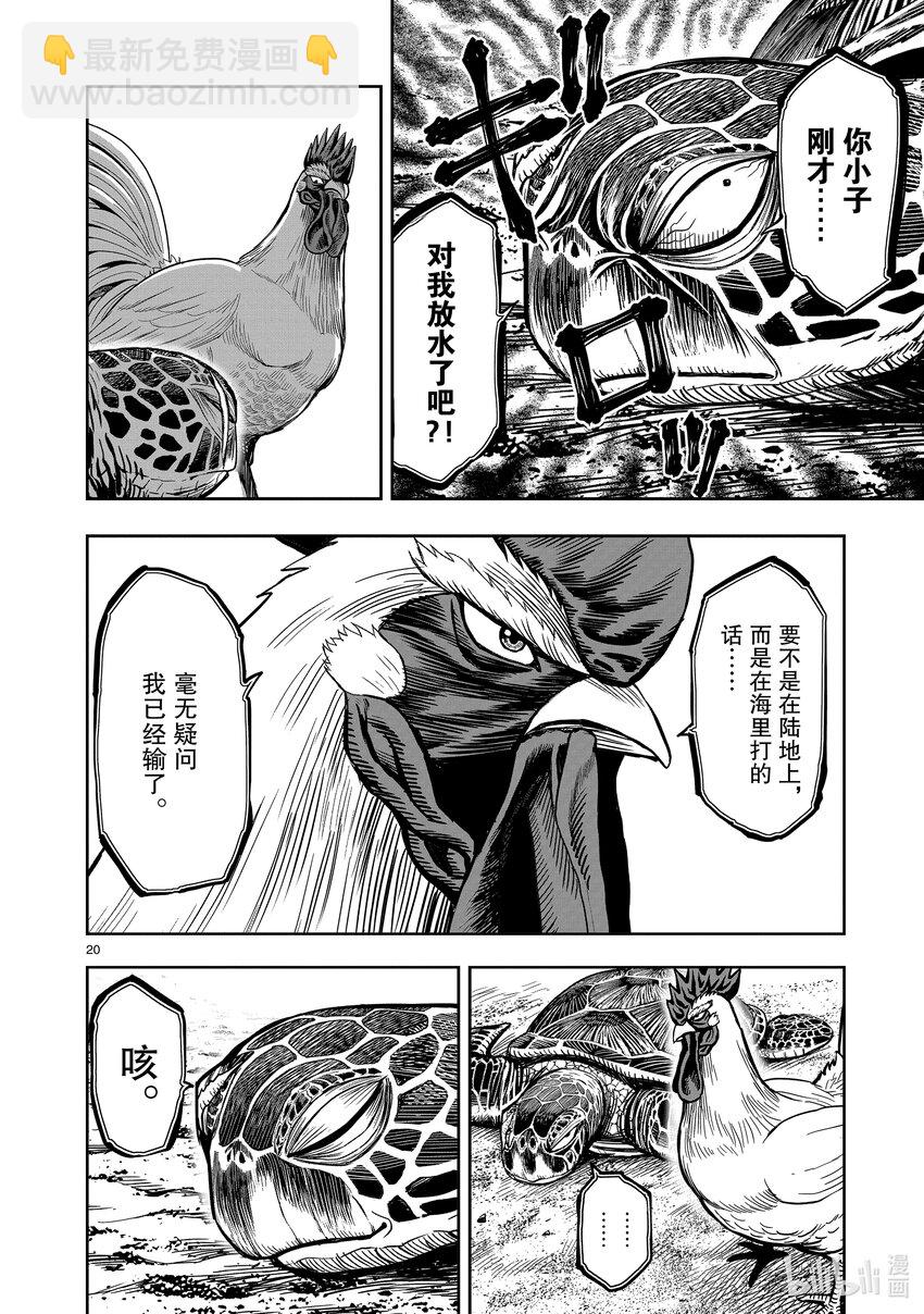 🍴鸡斗士 第4只 穷鸟入怀 第20页