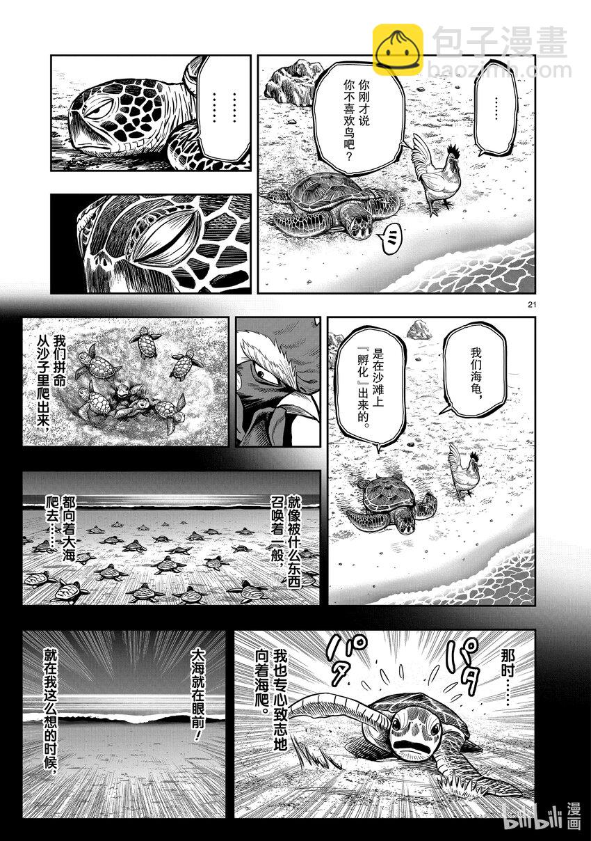 🍴鸡斗士 第4只 穷鸟入怀 第21页