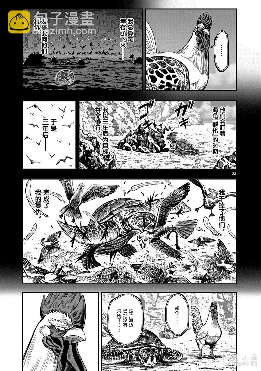 🍴鸡斗士 第4只 穷鸟入怀 第23页