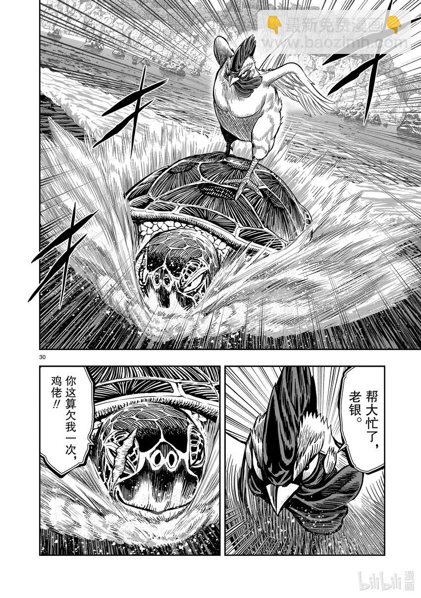 🍴鸡斗士 第4只 穷鸟入怀 第30页
