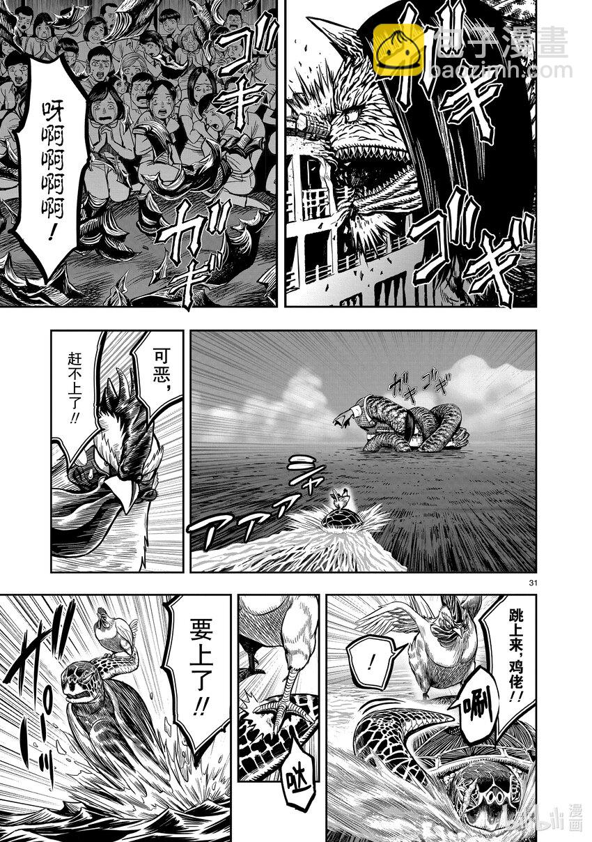 🍴鸡斗士 第4只 穷鸟入怀 第31页