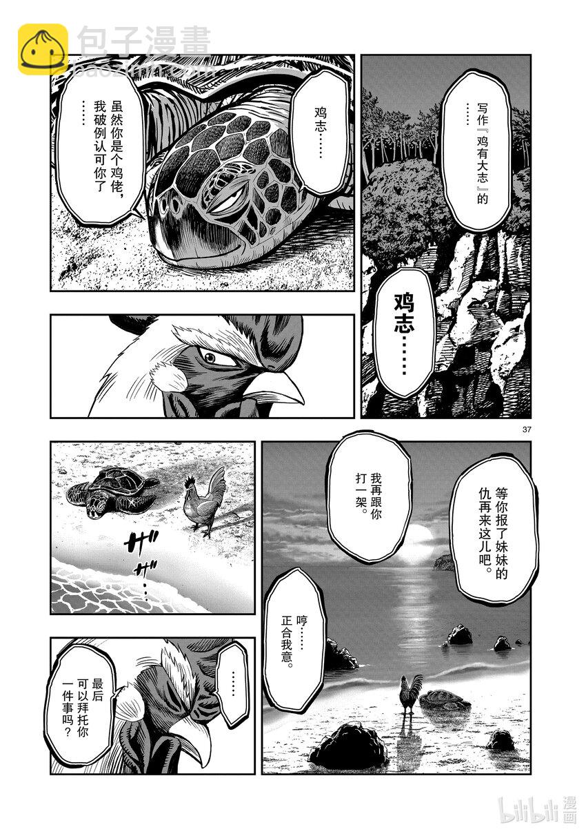 🍴鸡斗士 第4只 穷鸟入怀 第37页