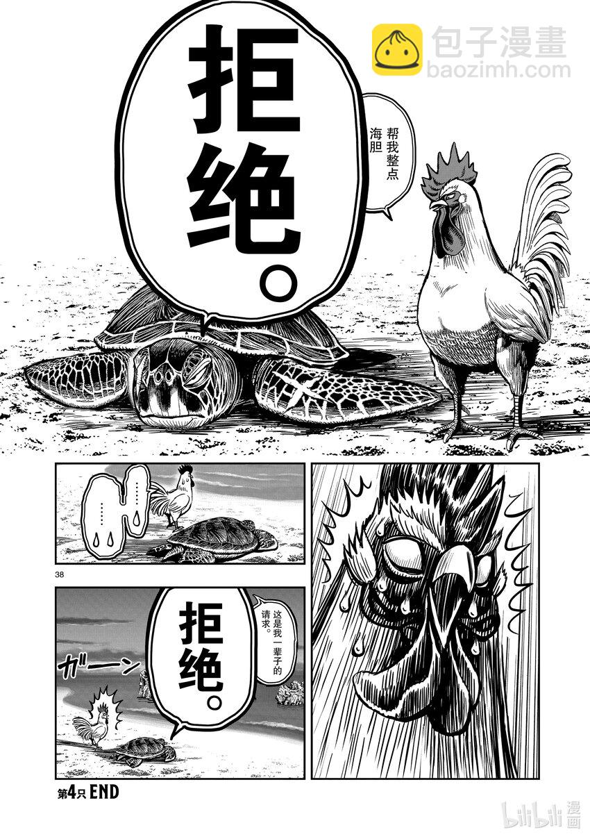 🍴鸡斗士 第4只 穷鸟入怀 第38页