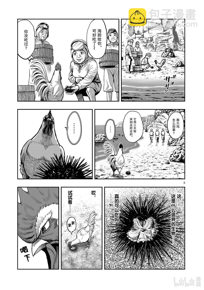 🍴鸡斗士 第4只 穷鸟入怀 第5页