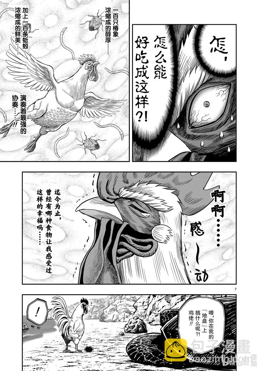 🍴鸡斗士 第4只 穷鸟入怀 第7页