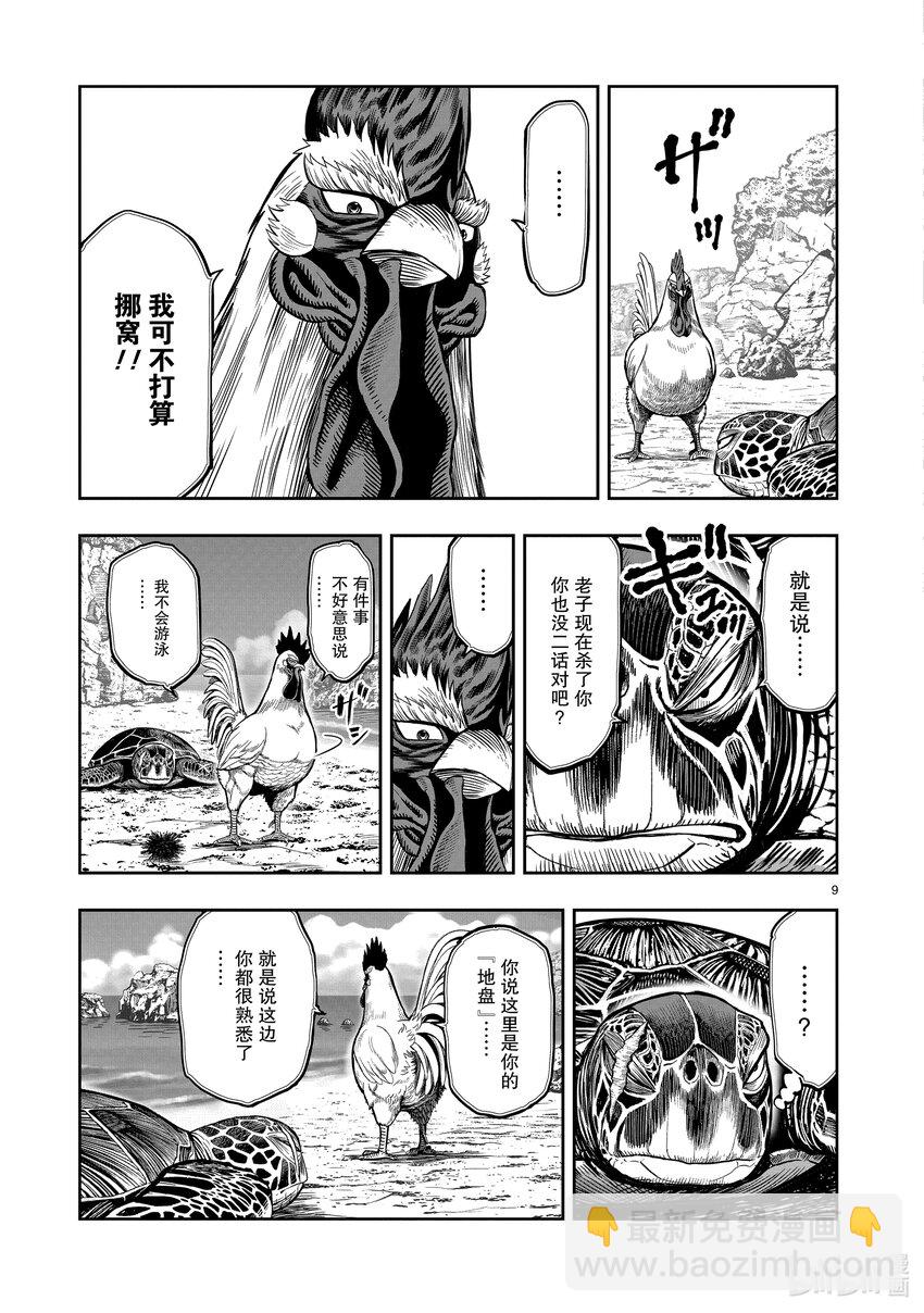 🍴鸡斗士 第4只 穷鸟入怀 第9页