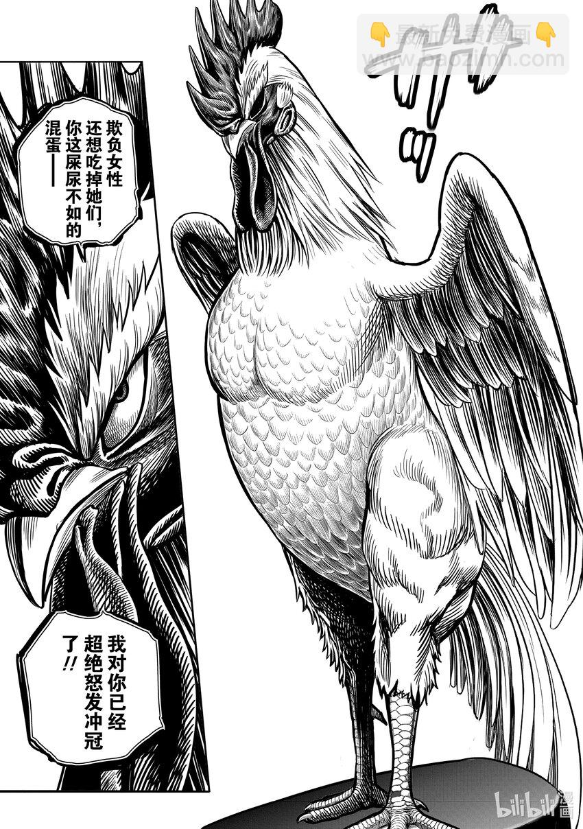 🍴鸡斗士 第6只 鹄面鸟形 第14页