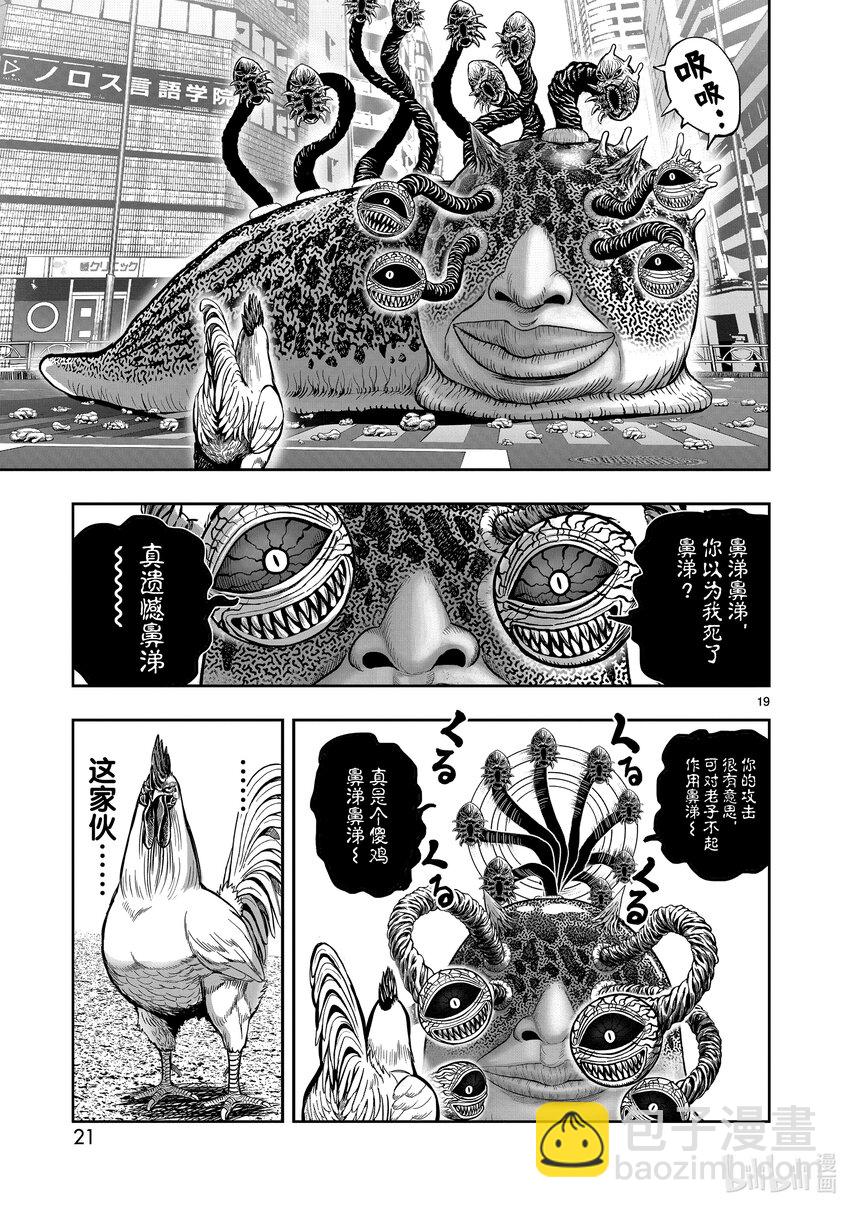 🍴鸡斗士 第6只 鹄面鸟形 第22页