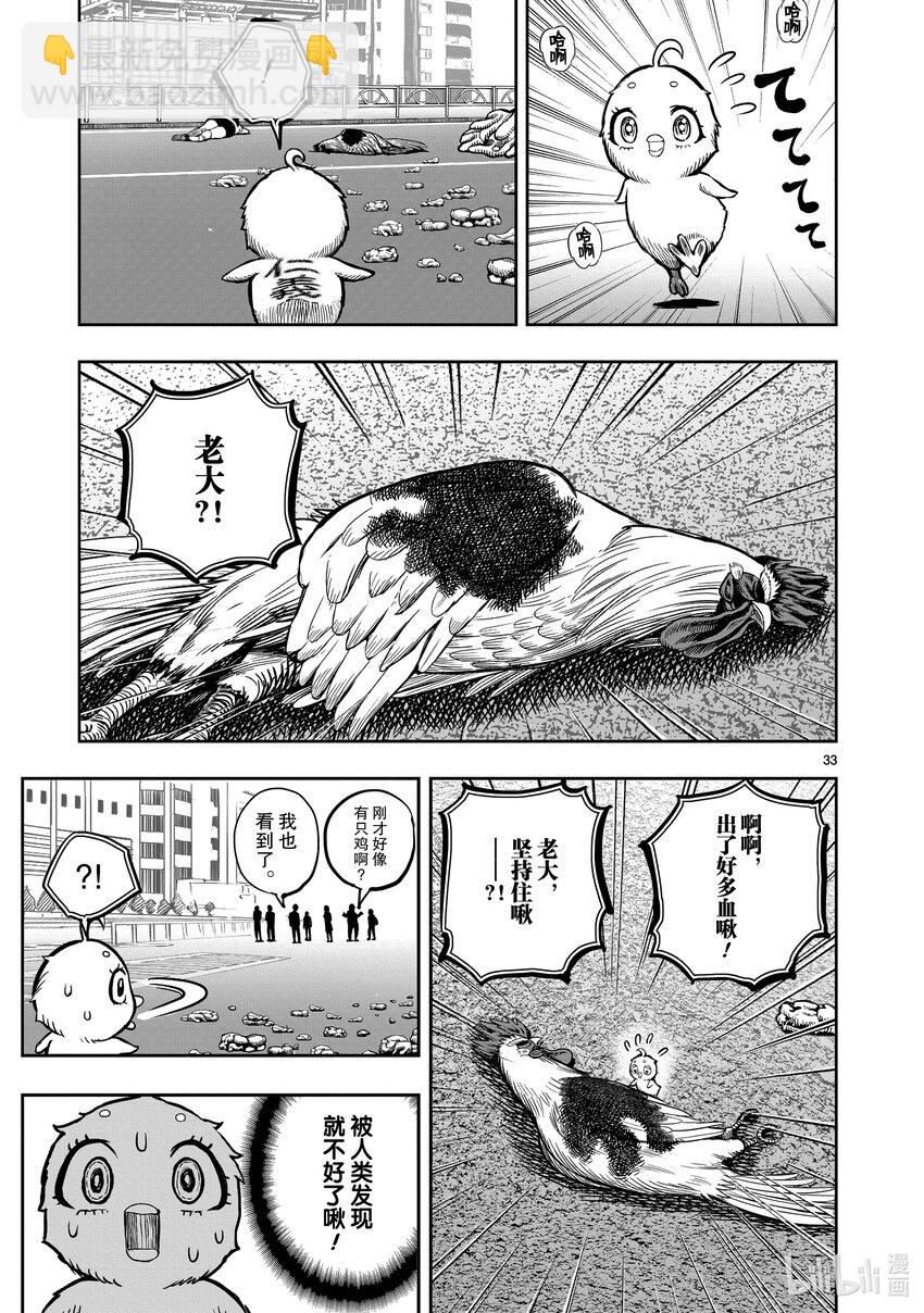 🍴鸡斗士 第6只 鹄面鸟形 第36页