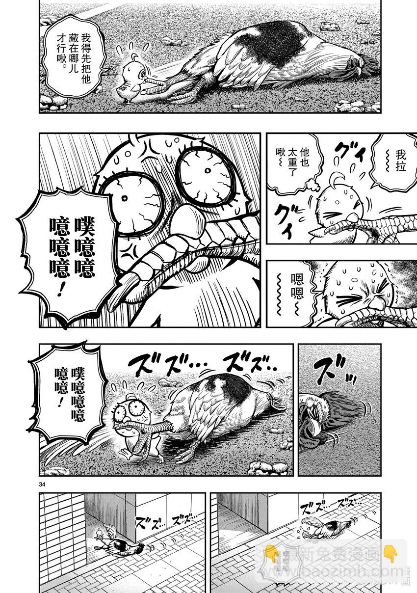 🍴鸡斗士 第6只 鹄面鸟形 第37页
