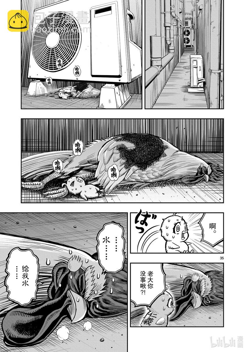 🍴鸡斗士 第6只 鹄面鸟形 第38页